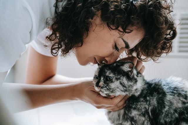 How can I make my cat love me?