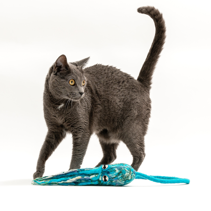Ink Floyd - A Wool Octopus Toy for Cats