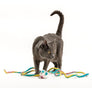 Catch a Mouse by the Tail - Wool Cat Toy