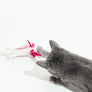 A Little 'Lotl - An Axolotl Wool Cat Toy