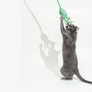 Ink Floyd - A Wool Octopus Toy for Cats
