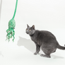 Ink Floyd - A Wool Octopus Toy for Cats