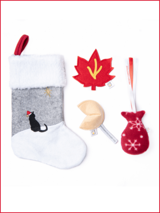 Midlee Toy Filled Christmas Dog Stocking Gift Set