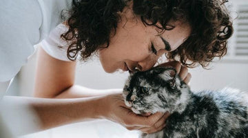 How can I make my cat love me?