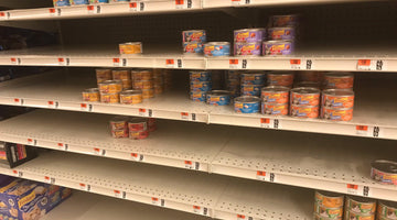 The 2022 cat-food shortage and what to do about it