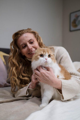 Do cats remember people?