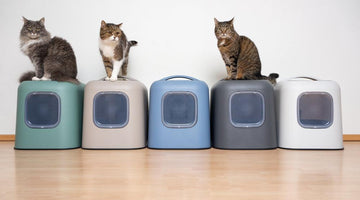 How many litter boxes per cat do I need?