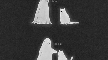 The most hilarious Halloween cat memes and cartoons
