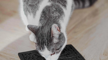 Are lick mats good for cats?