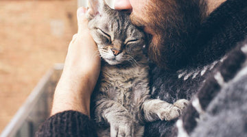 Why do cats purr?