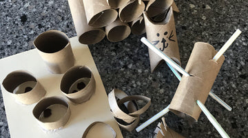 DIY Toilet Paper Roll Toys for Cats - A Quarantine Craft for You and Your Cat