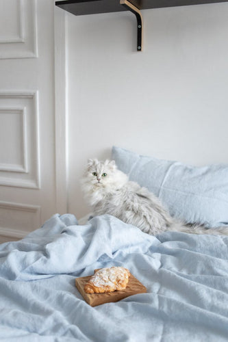 Why is my cat peeing on my bed?