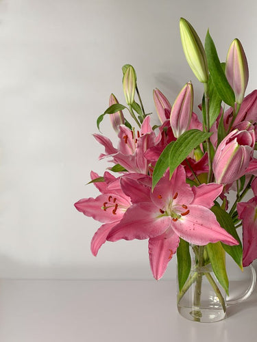 Are lilies toxic to cats?