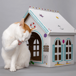 Breezy Beach Cottage Cardboard Cat Playhouse - Cat in the Box LLC