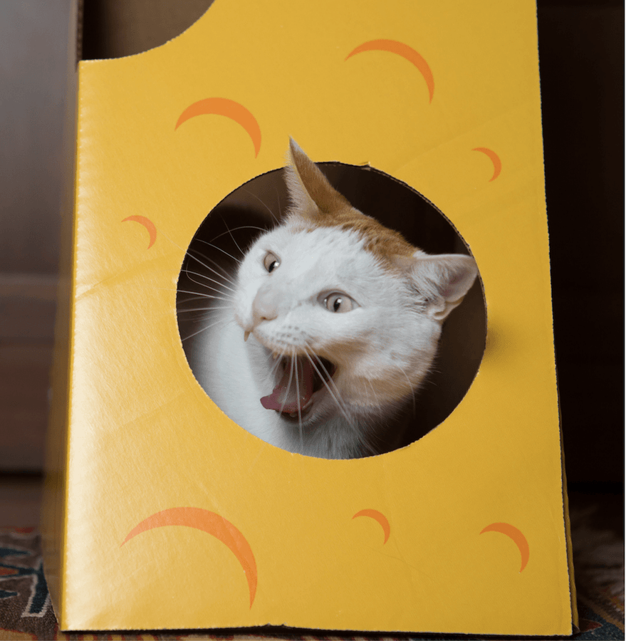 Monster Cheese Wedge Cardboard Cat House - Cat in the Box LLC