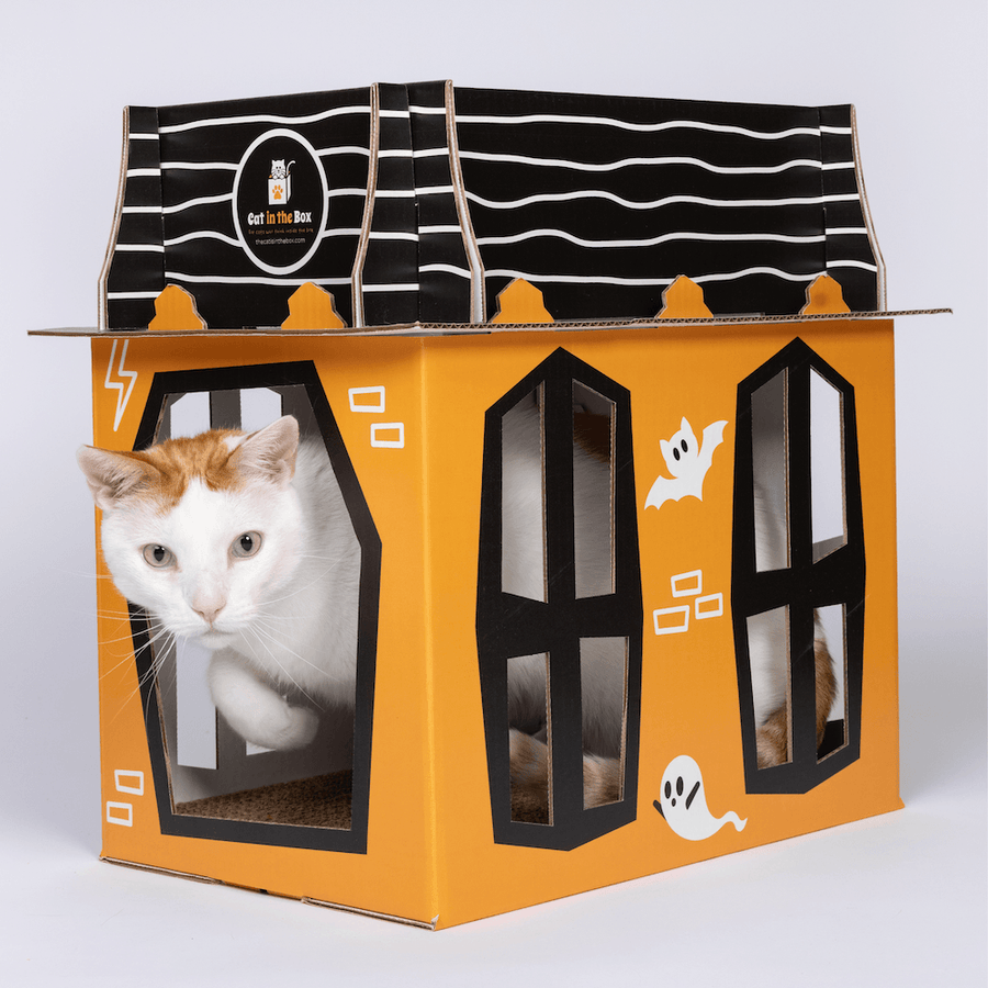 Spooky Cat Haunted House Cardboard Condo - Cat in the Box LLC