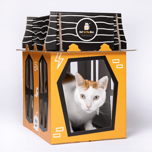 Spooky Cat Haunted House Cardboard Condo - Cat in the Box LLC