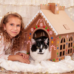 Cardboard Gingerbread Cat Playhouse Kit - Cat in the Box LLC