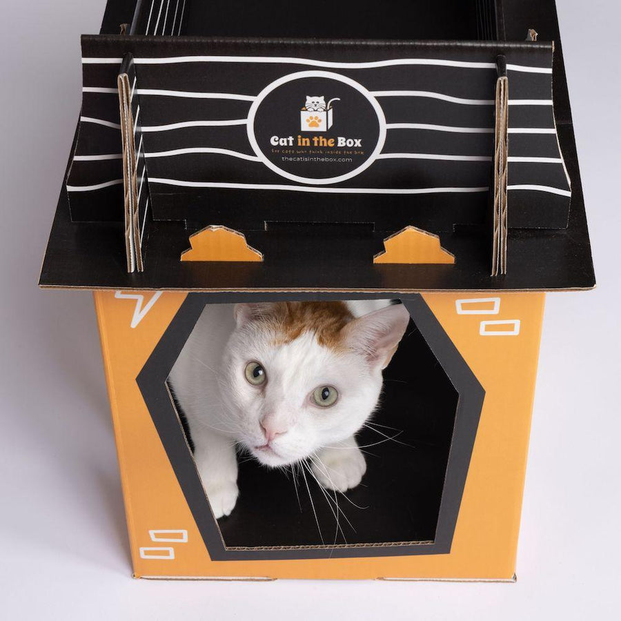 Spooky Cat Haunted House Cardboard Condo Cat in the Box LLC