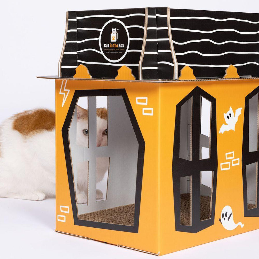 Halloween cardboard 2024 cat house