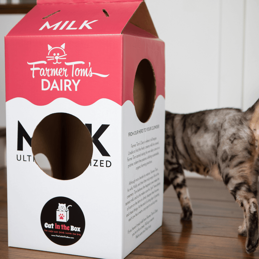 Mega Milk Carton Cardboard Cat House - Cat in the Box LLC