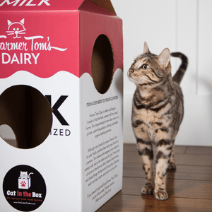 Mega Milk Carton Cardboard Cat House - Cat in the Box LLC