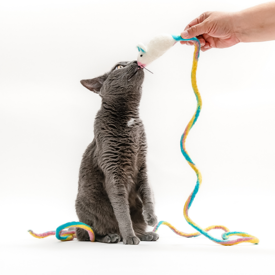 Catch a Mouse by the Tail - Wool Cat Toy