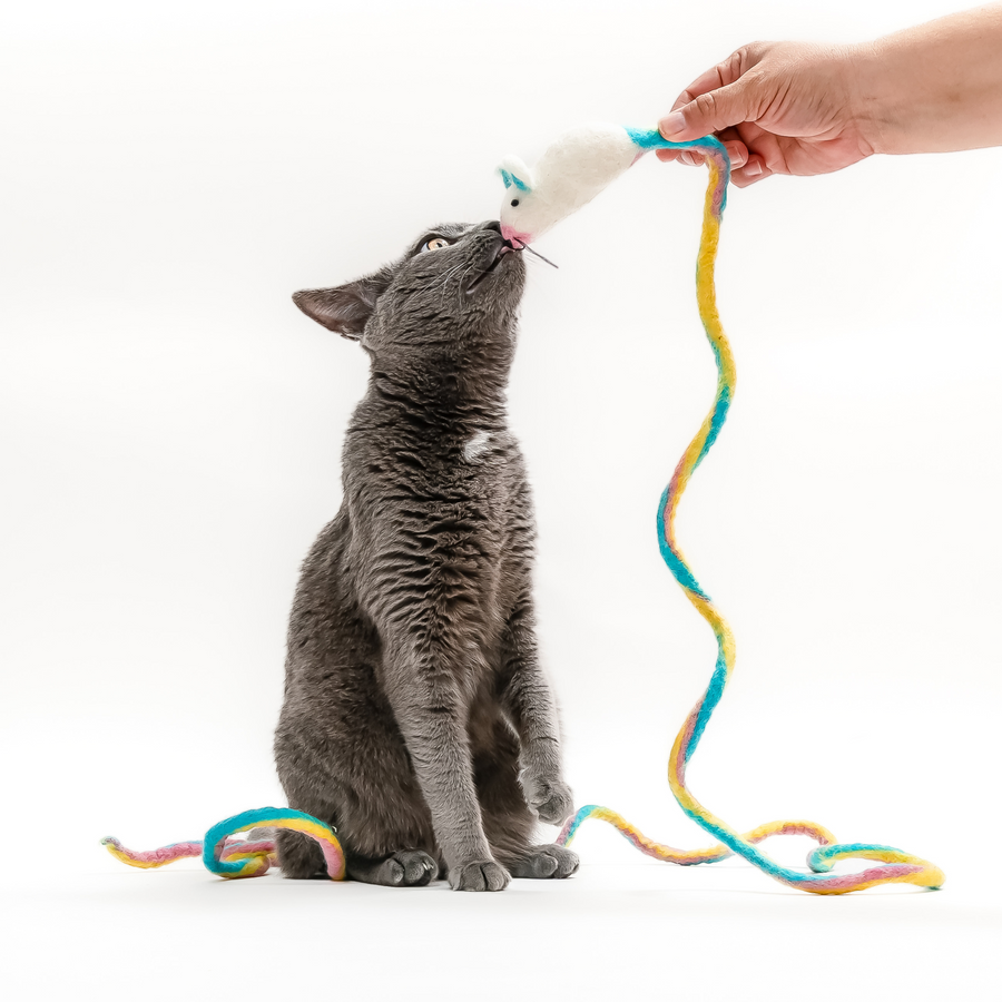 Catch the mouse cat toy online