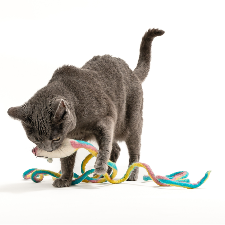 Catch the mouse cat toy best sale