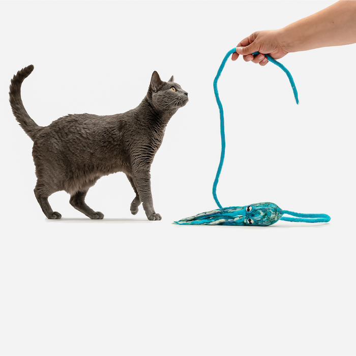 Ink Floyd - A Wool Octopus Toy for Cats