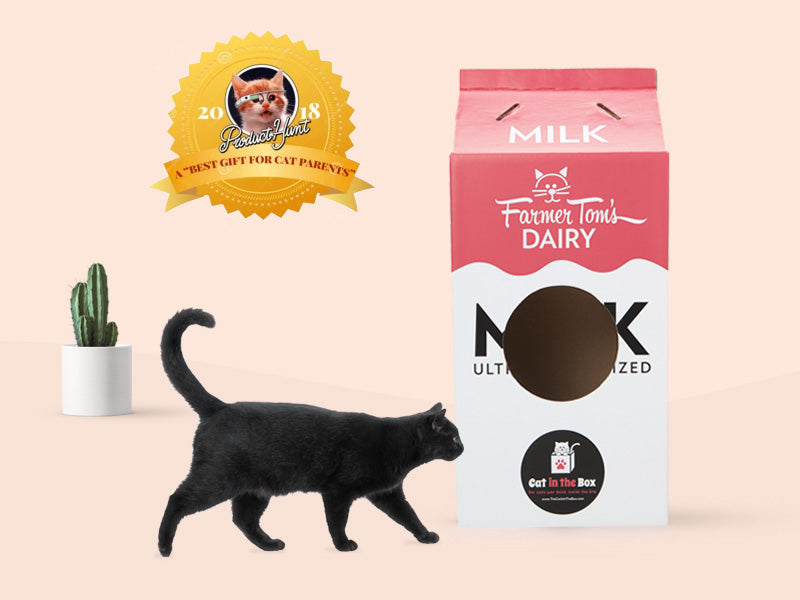 Premium Vector | The orange cat is hiding behind the box doodle icon image kawaii Premium Vector | The orange cat is hiding behind the box doodle icon image kawaii