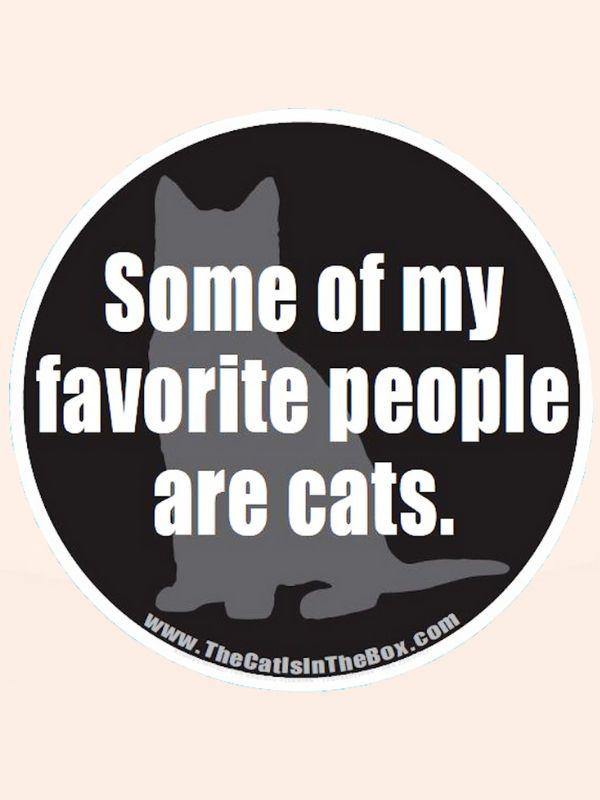 “Some of My Favorite People Are Cats” Car Magnet - Cat in the Box LLC